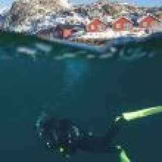 Image pour Manawa - Plongée au Lofoten