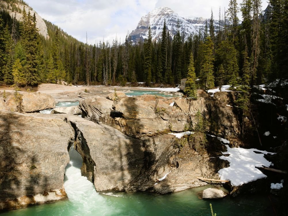 Rockies