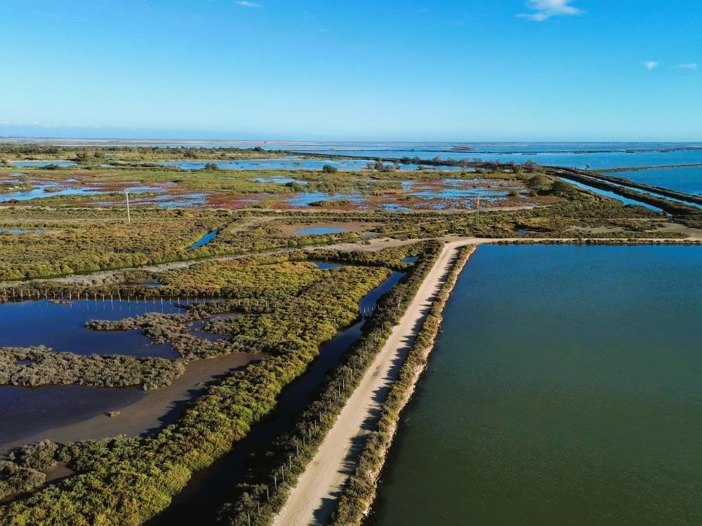 Paysage en Camargue