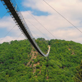 Image pour Ponts suspendus en Allemagne