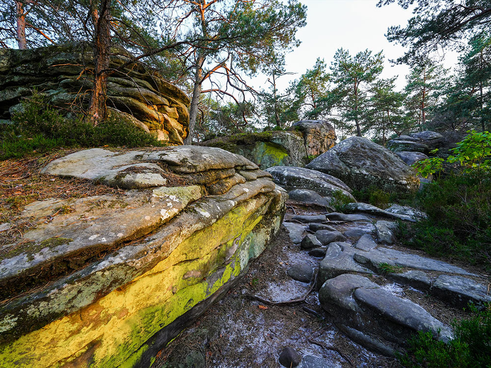 Les rochers de Fontainebleau