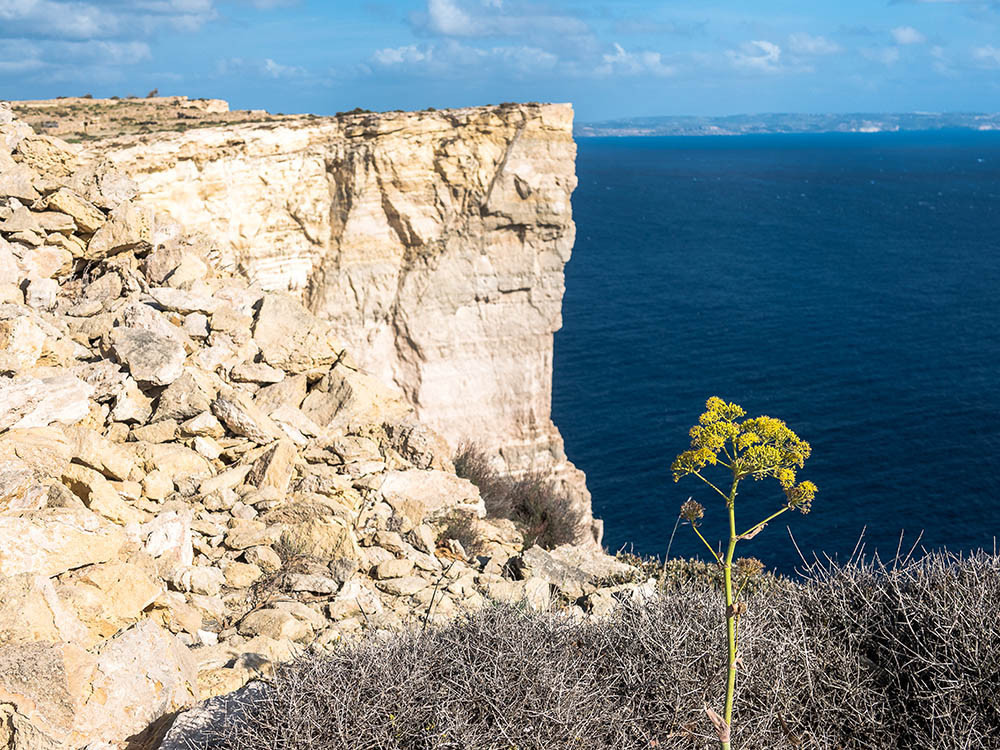 Les falaises de Gozo