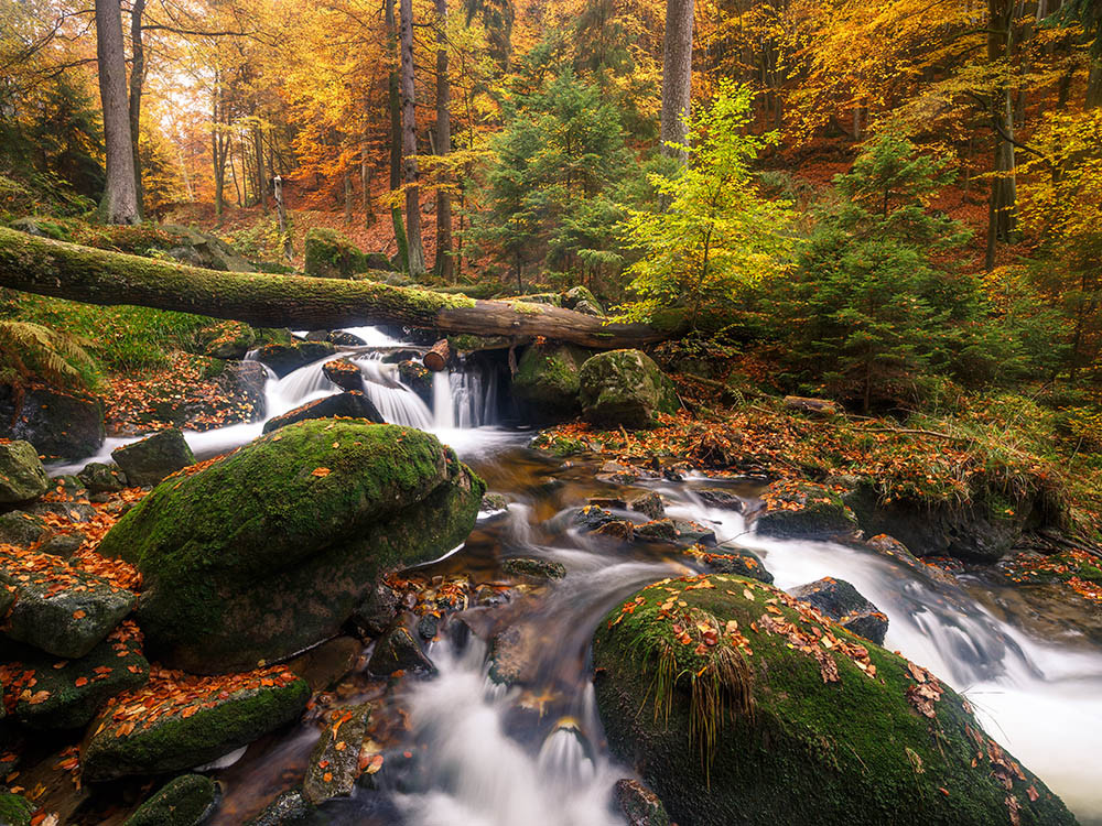 Cascade Ilse