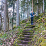 Image pour Randonnée dans la Forêt-Noire
