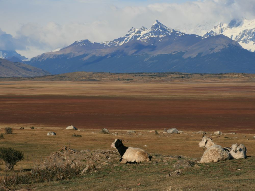 Patagonie nature