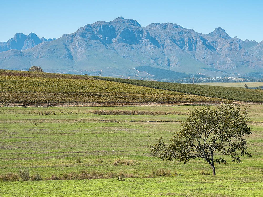 Stellenbosch