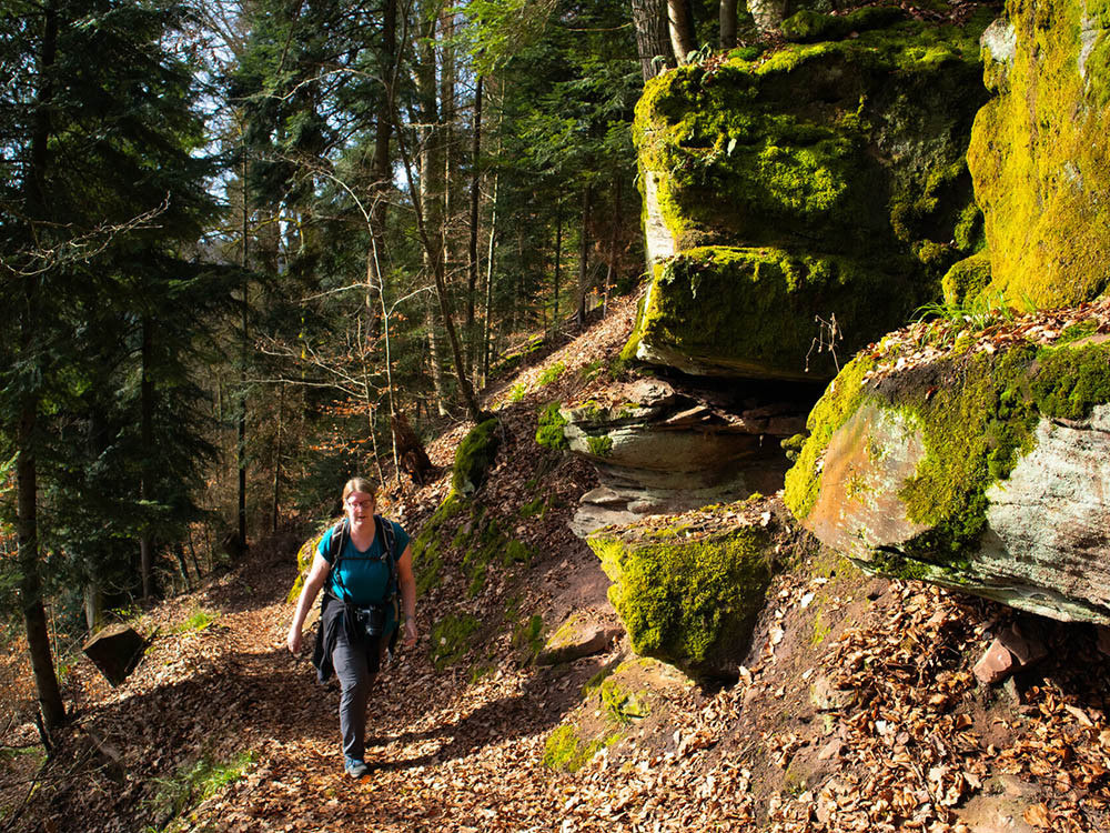 Trekking Forêt-Noire