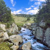 Image pour Pyrénées-Orientales