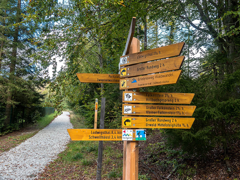 Sentiers de randonnée de la Forêt-de-Bavière
