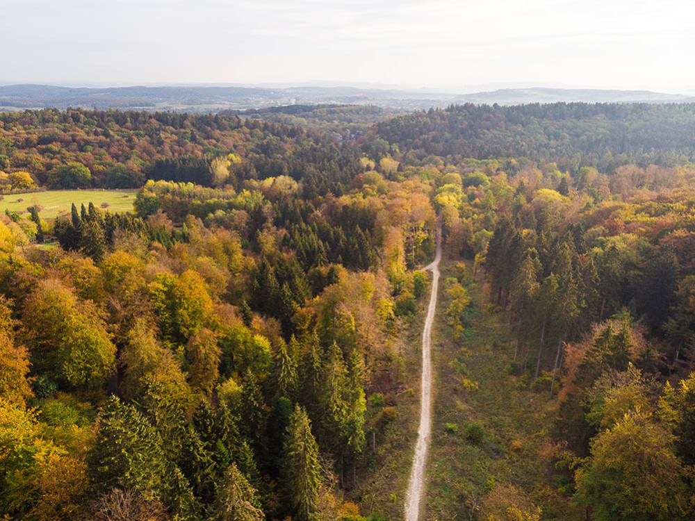 Sentier Hermann