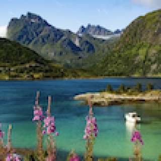 Image pour Nordic - Voyage d'été en Laponie