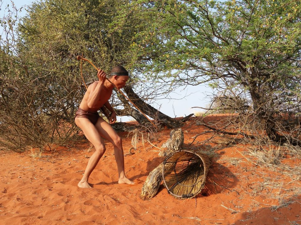 Désert du Kalahari, Namibie