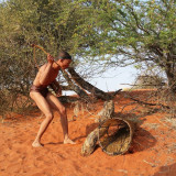 Image pour Désert en Namibie