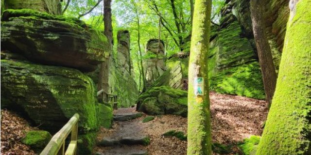 Image pour Travelbase - Le Mullerthal Trail