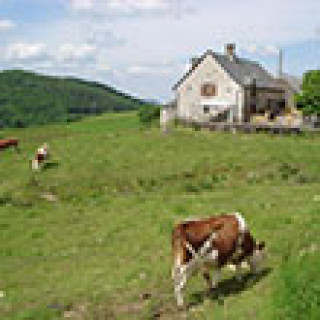 Image pour Booking.com - Ferme avec sentiment de famille