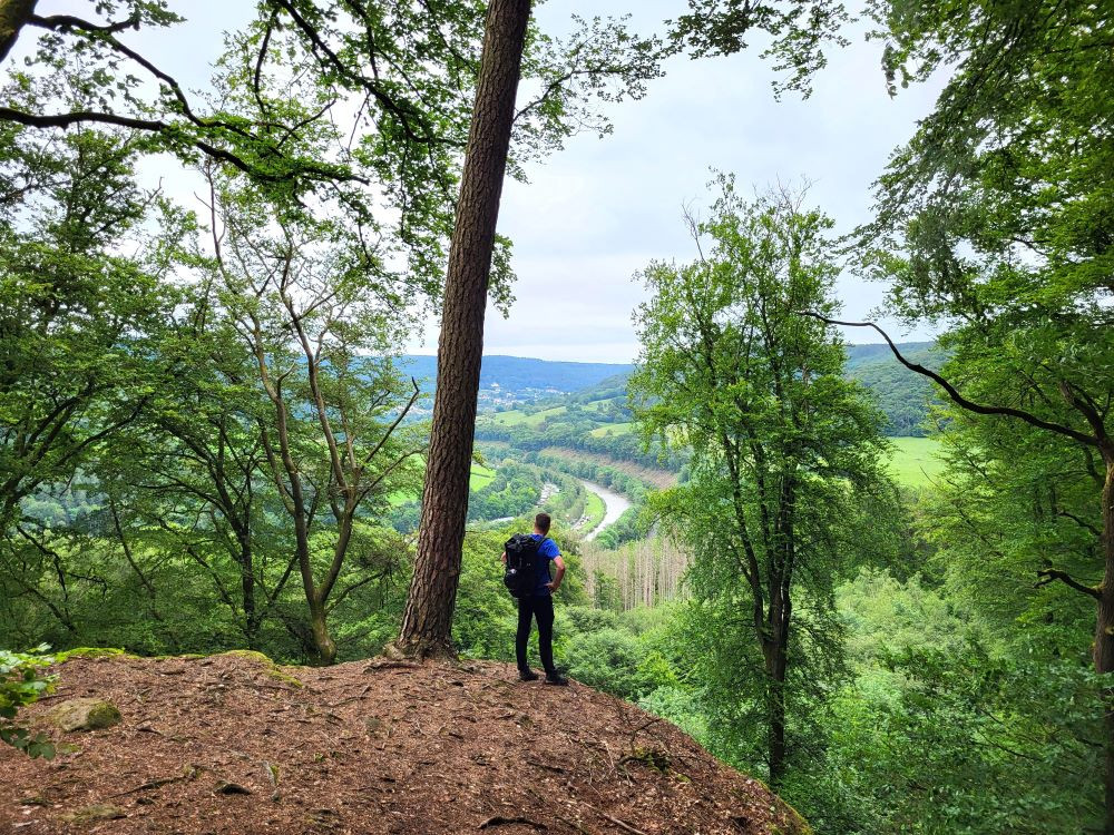 Vue sur la Sure