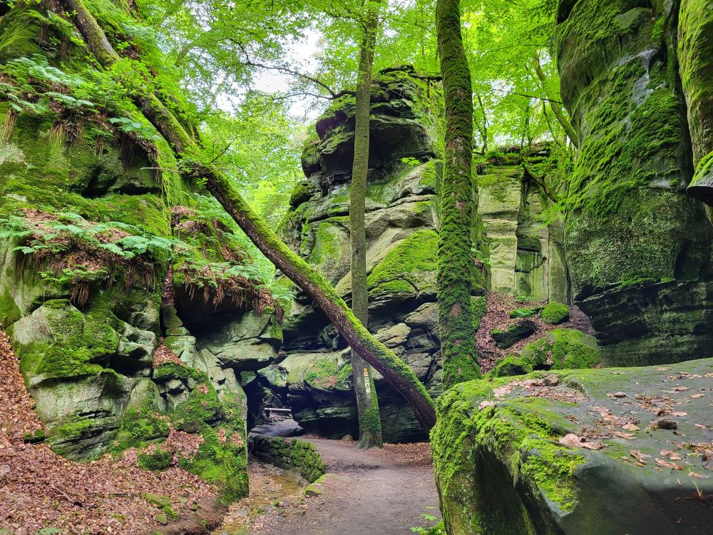 Gorge de Ruetsbesch