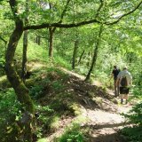Image pour Randonnée dans les Ardennes françaises