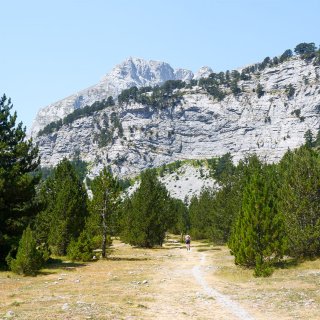 Image pour Les Balkans