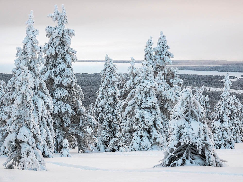 Vue sur le lac Kitkajärvi