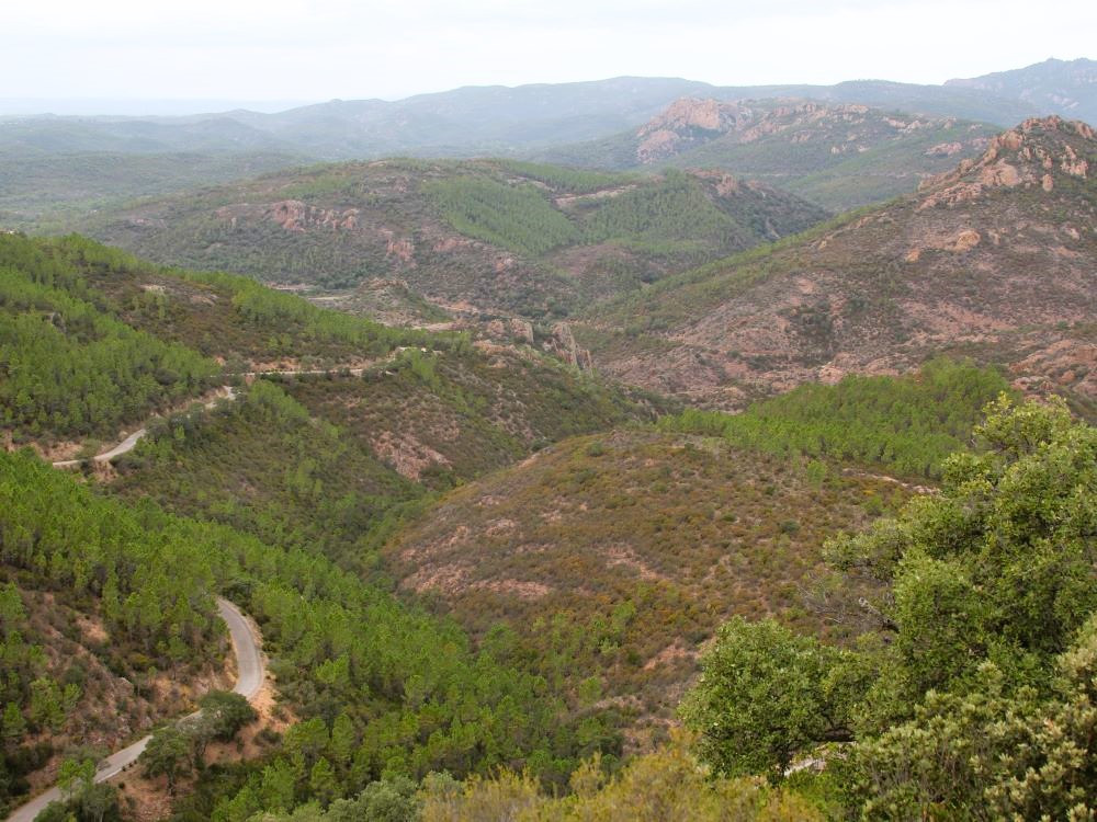 Route dans le massif de l'Esterel
