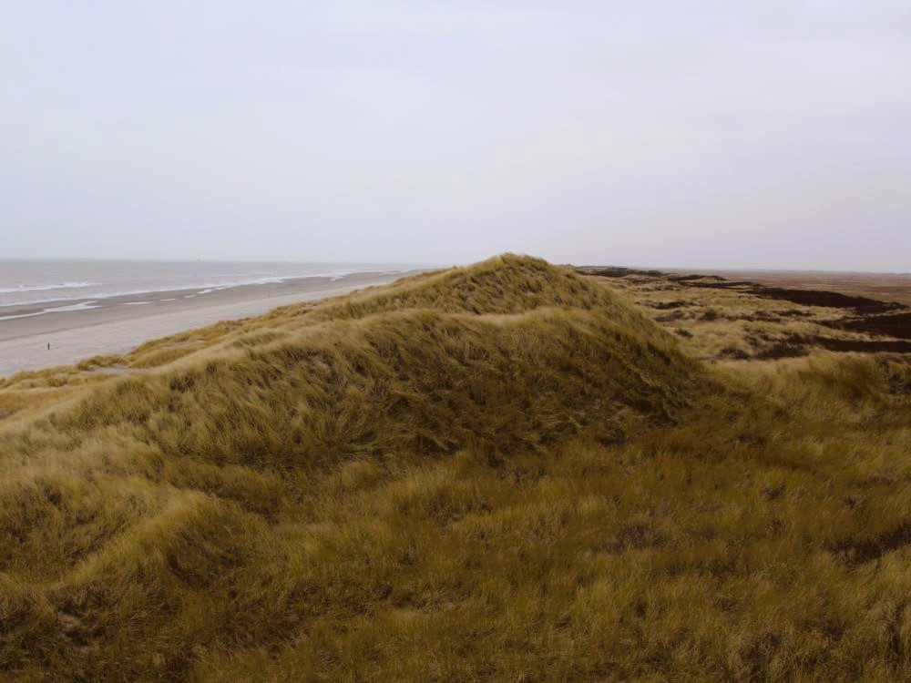 Dunes de Terschelling