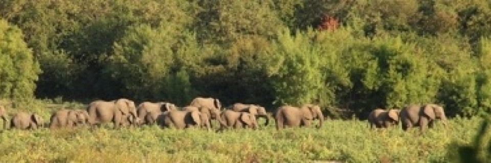 Top foto voor Top 10 des parcs nationaux d'Afrique