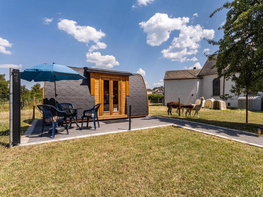 Cabane de camping au milieu des alpagas