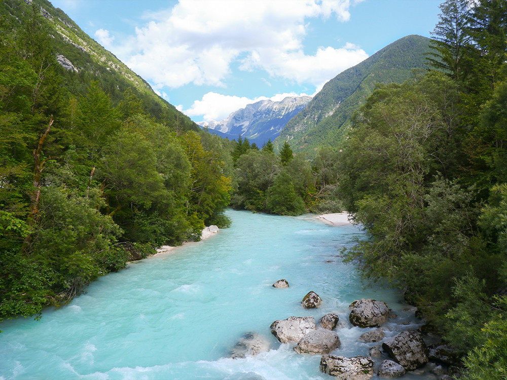 Nature dans la vallée de la Soča