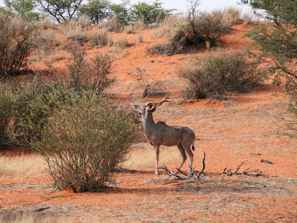 Vacances en Namibie
