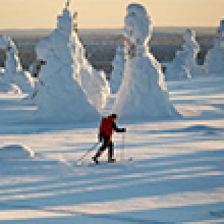 Image pour Nordic - Voyages d'hiver à Ruka