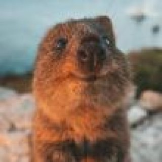 Image pour Evaneos - Voyage avec un expert local