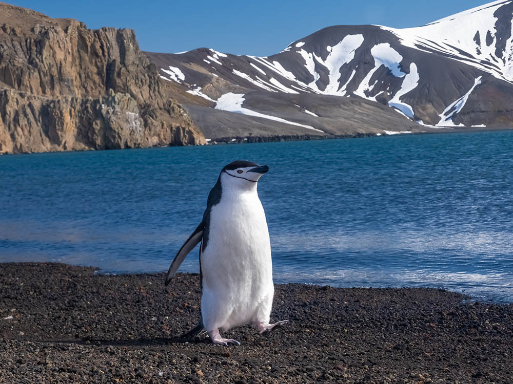 Deception Island