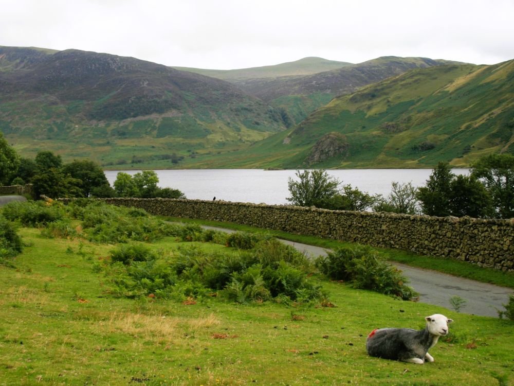 Paysage Lake District