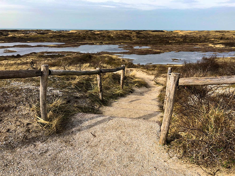 Kennemerduinen