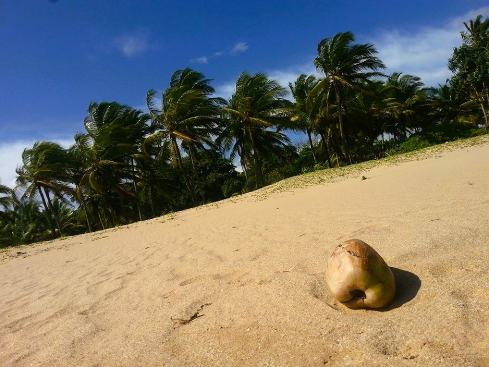 Plage au Sri Lanka