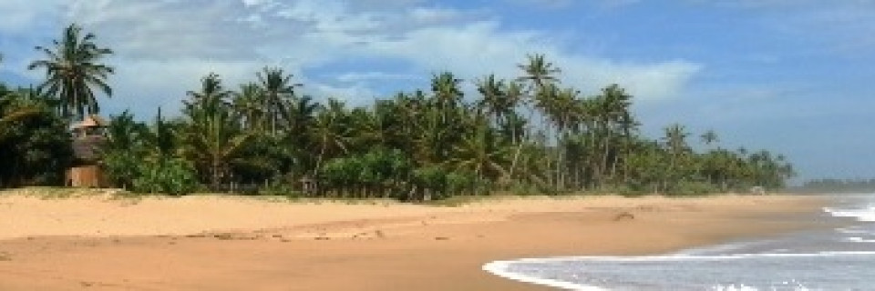 Top foto voor Meilleures îles en Afrique