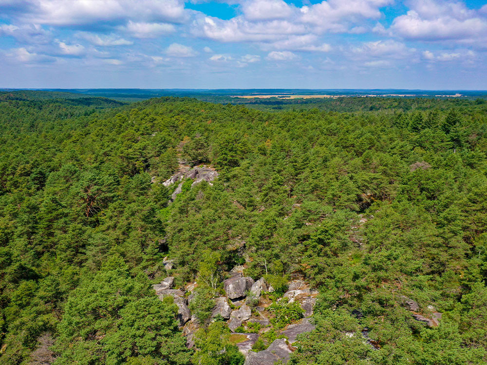 Étendue de la forêt de Fontainebleau