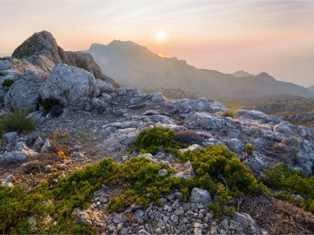 Paysage de montagne