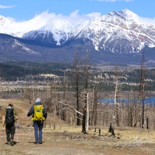 Image pour Parc national Jasper