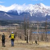 Image pour Parc national Jasper