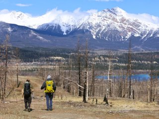 Image pour Parc national Jasper