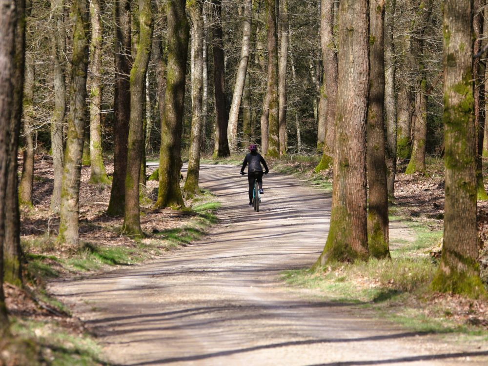 VTT en pleine nature
