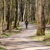 Image pour VTT