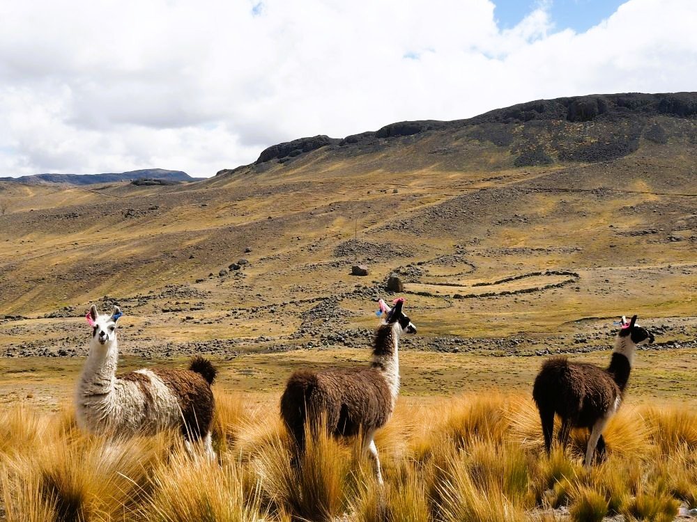 Andes Pérou
