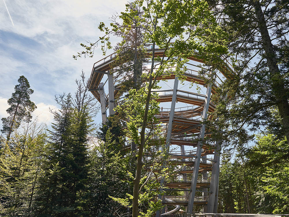 Passerelle dans la cime des arbres de Bad Wildbad