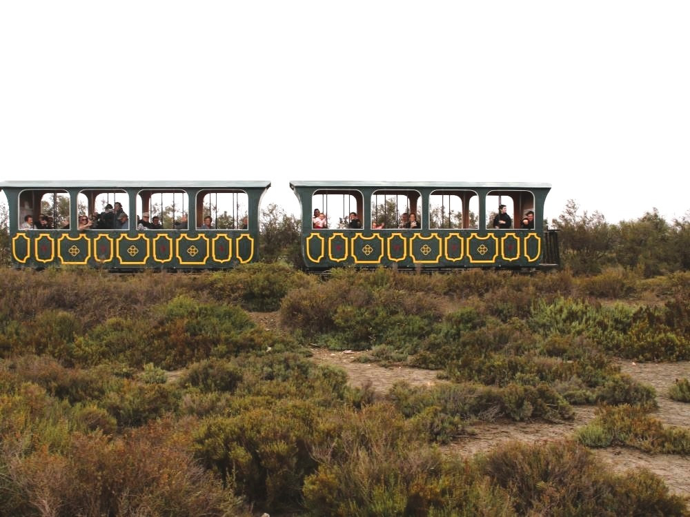 Train près de Méjane
