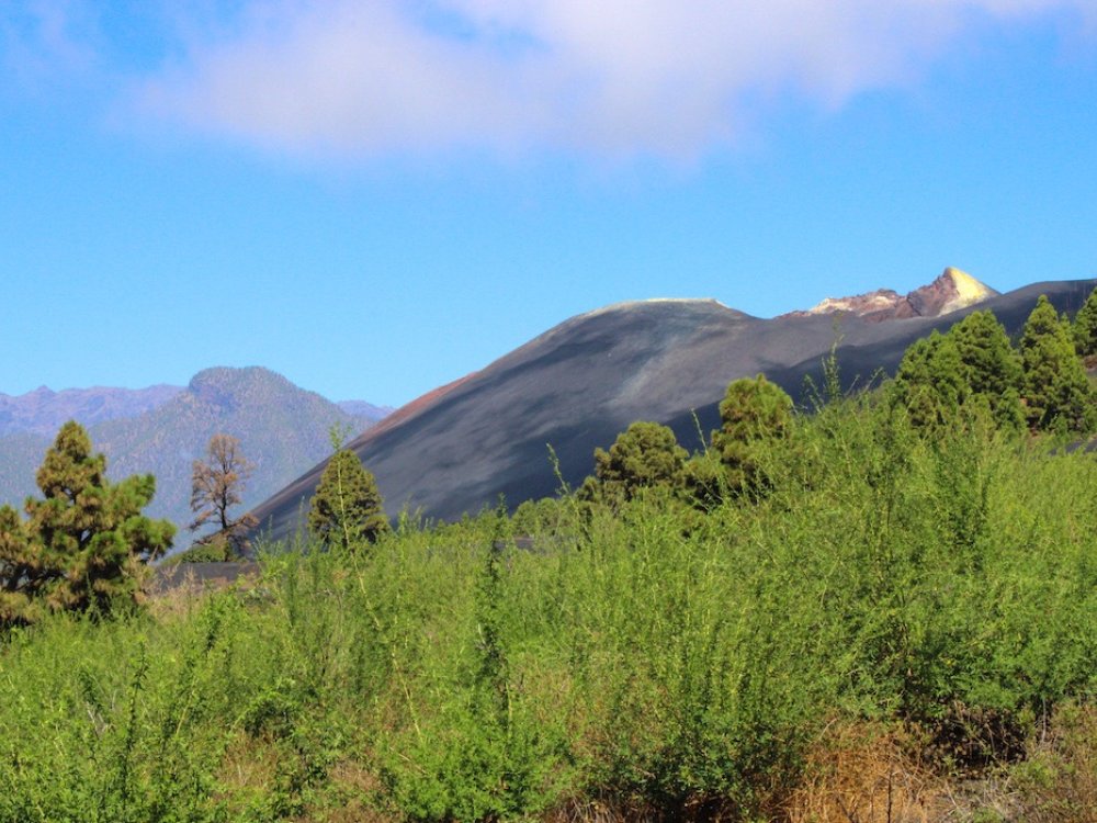 Contrastes de couleurs à La Palma