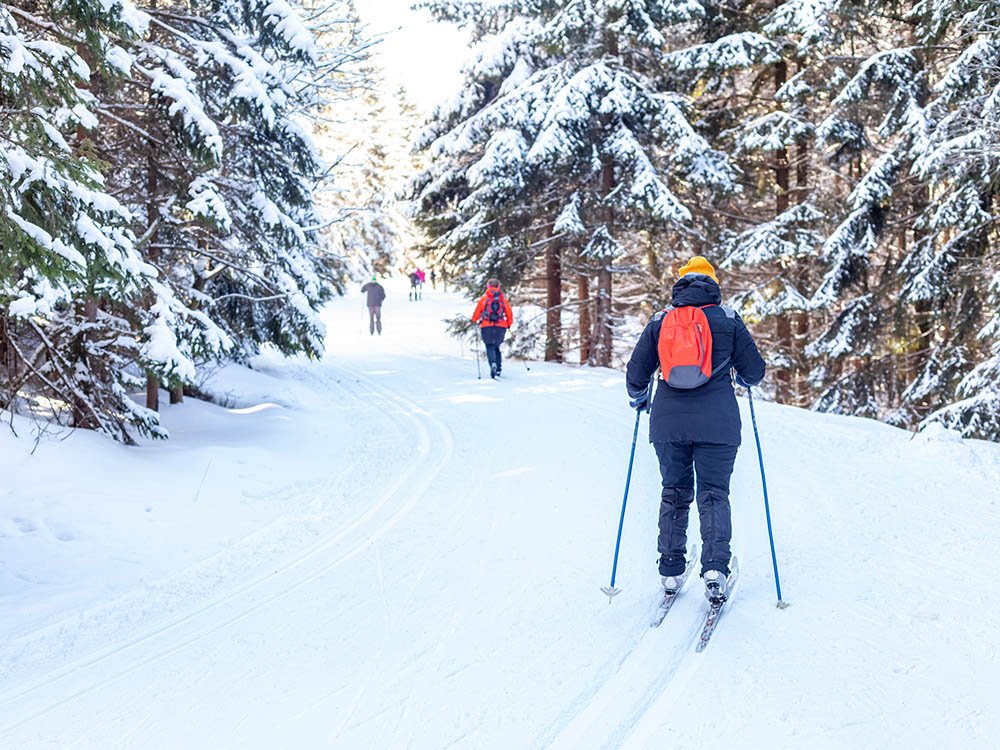 Ski nordique