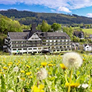 Image pour Hôtel Sauerland Alpin